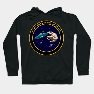 Space Enthusiasts and Dog Lover Hoodie